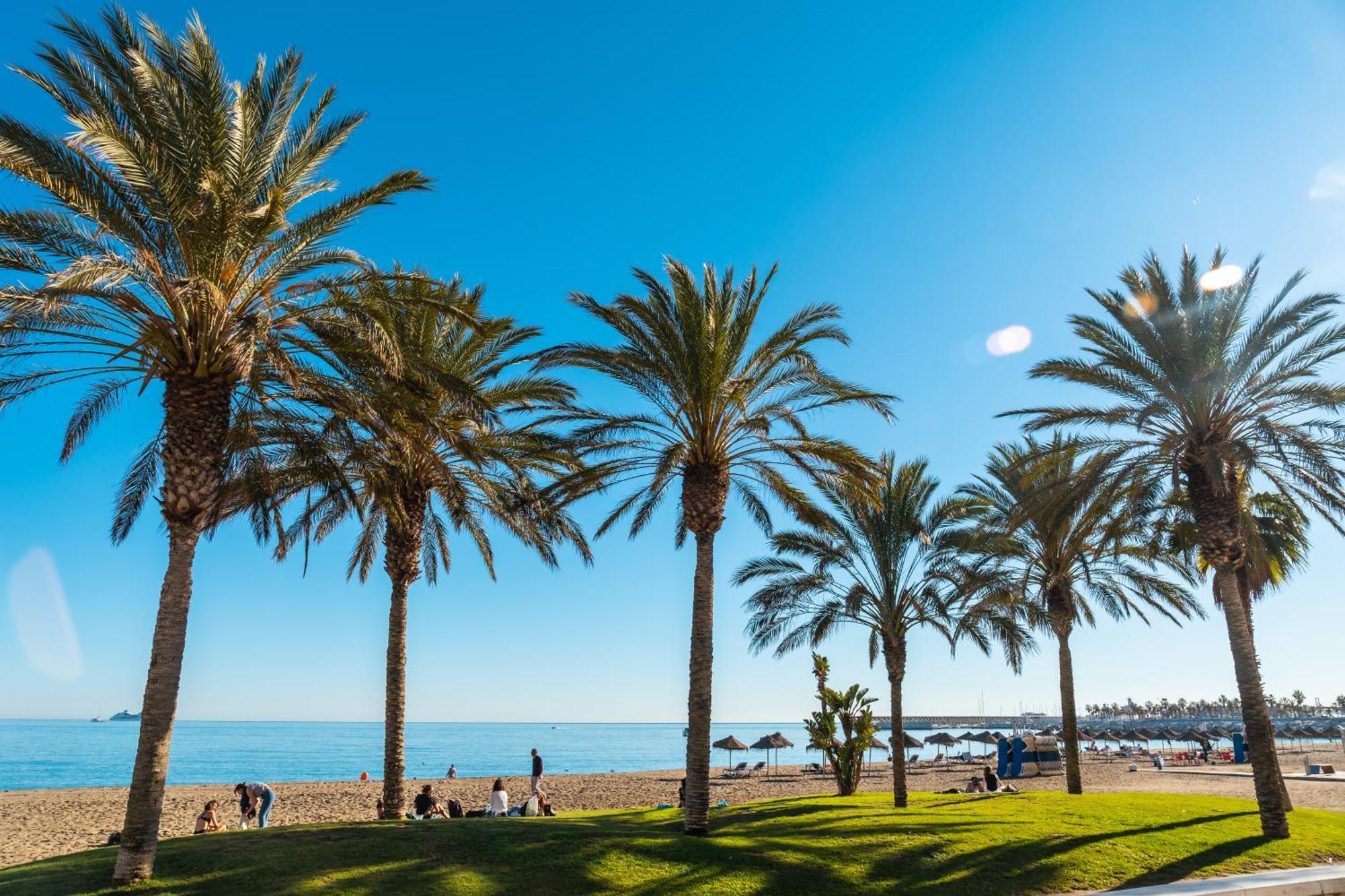 Your Home In Malaga Centro & Parking Free Екстер'єр фото